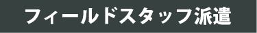 フィールドスタッフ派遣